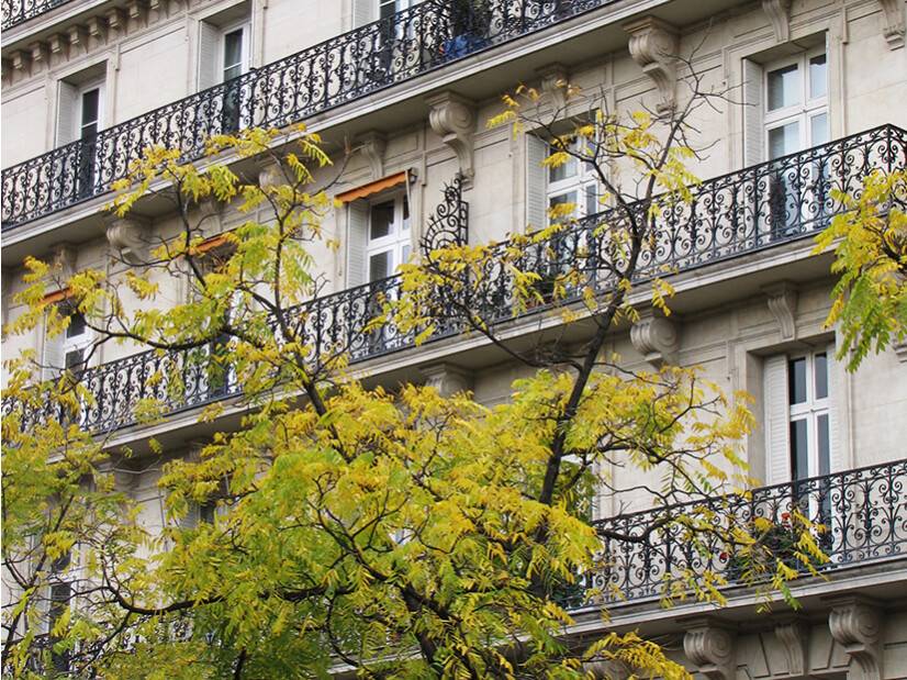 fenêtre mouton gueule loup bâtiment Haussmann balcon filant