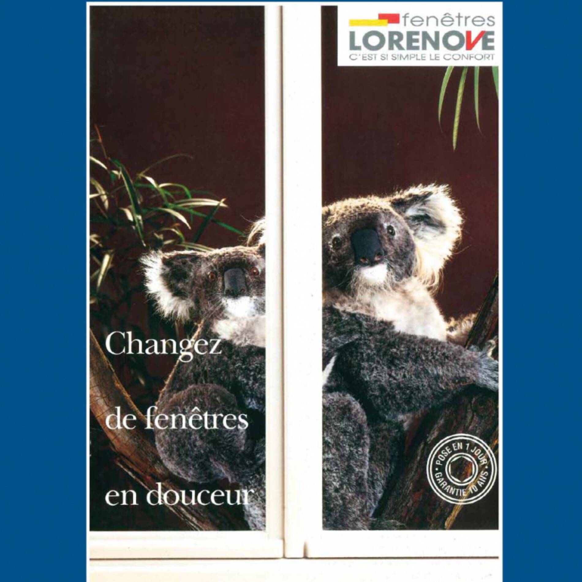 actu années 90 le koala lorenove.jpg