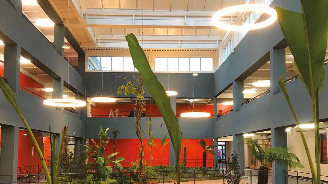 ecole auguste renoir patio verriere velux