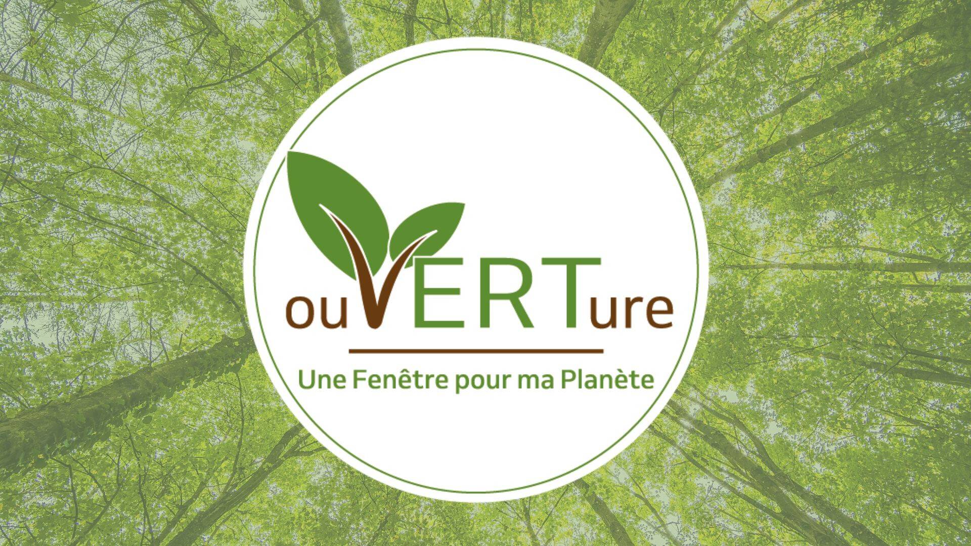 Logo.jpg Logo.jpg