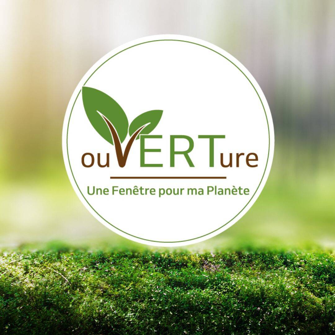 Logo ouVERTure3.jpg