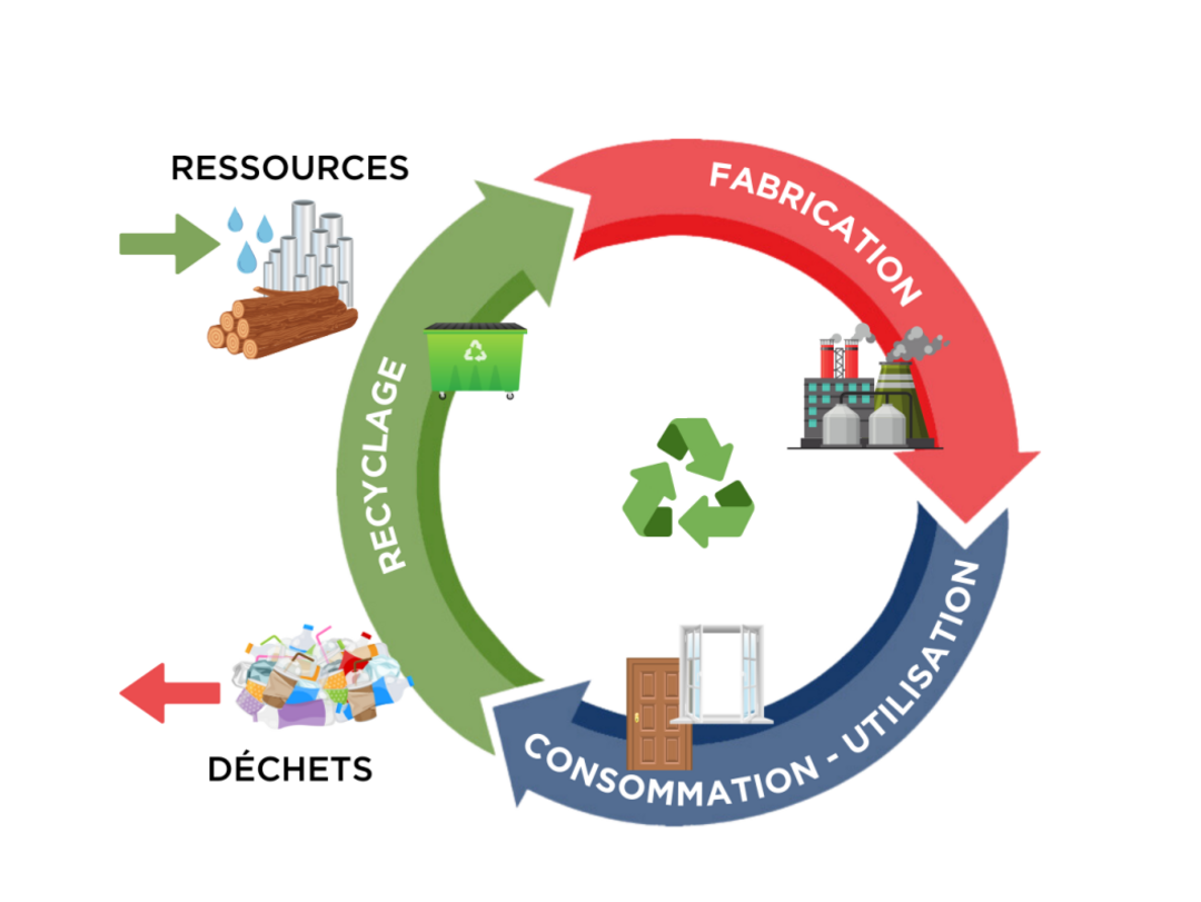 Schéma cycle de vie.png
