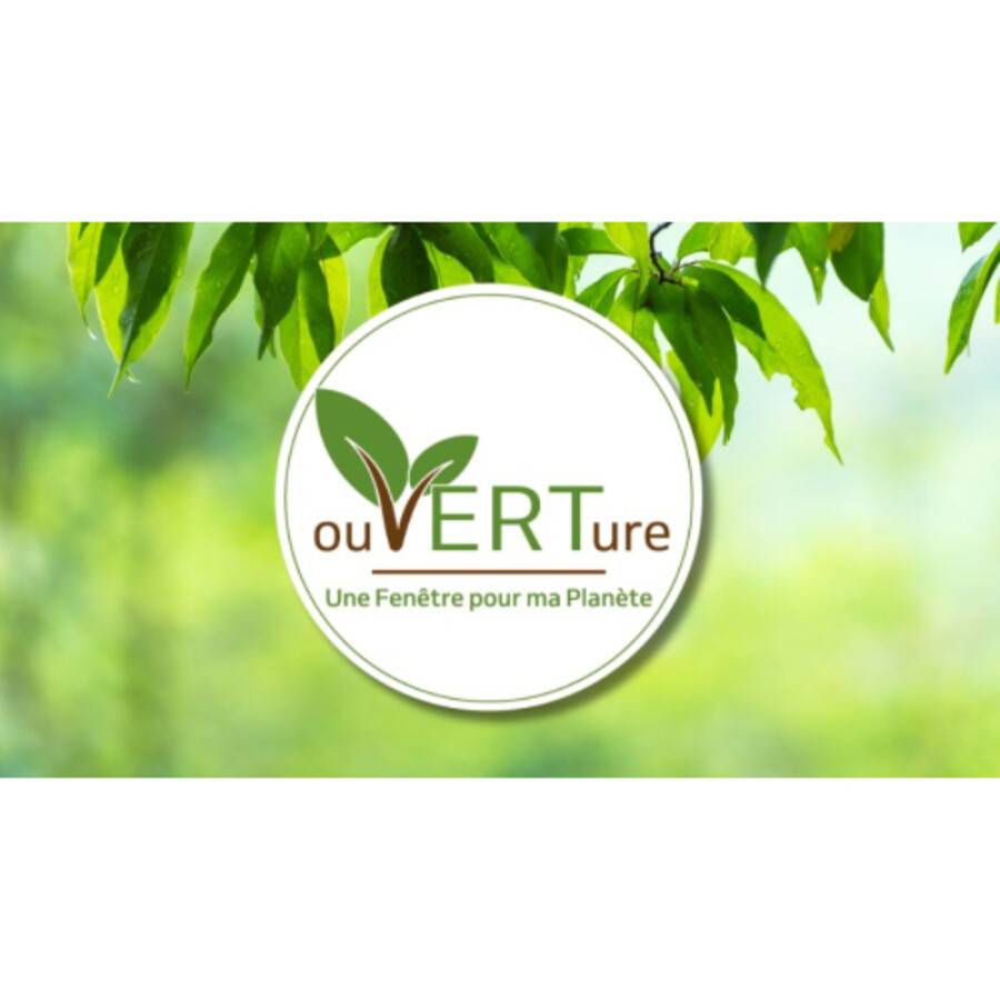 Logo ouVERTure.jpg