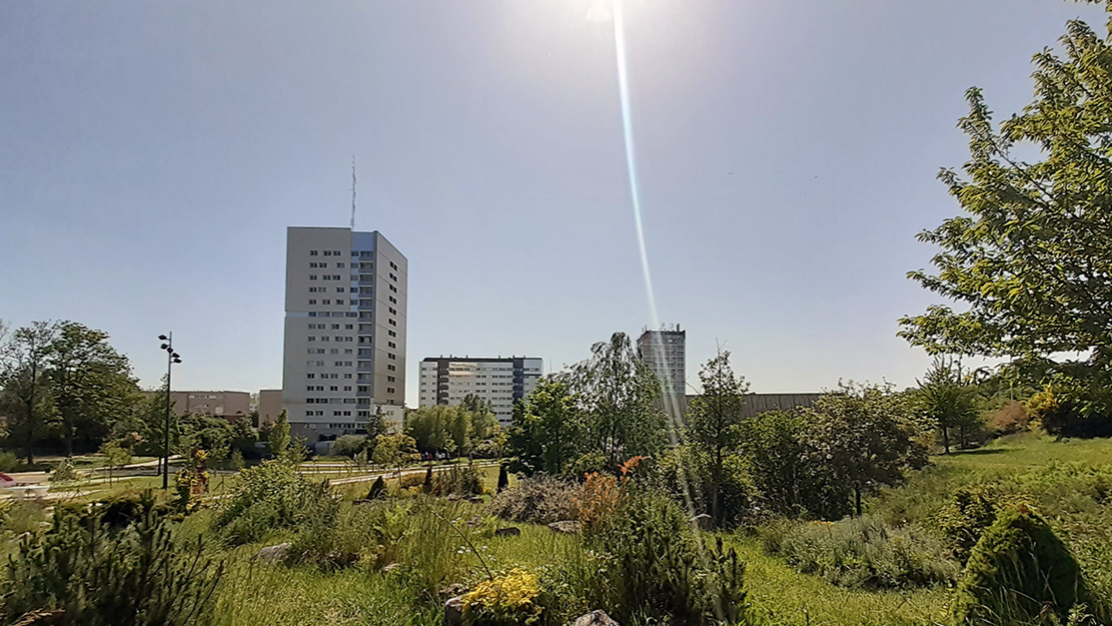 rénovation thermique lille vilogia pacot lambersart.png