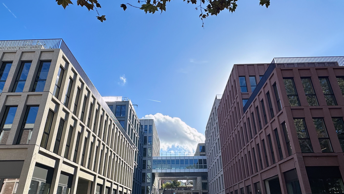 chantier bouygues gentilly 6 degrés lorillard batiment fenêtres bas carbone.png chantier bouygues gentilly 6 degrés lorillard batiment fenêtres bas carbone.png