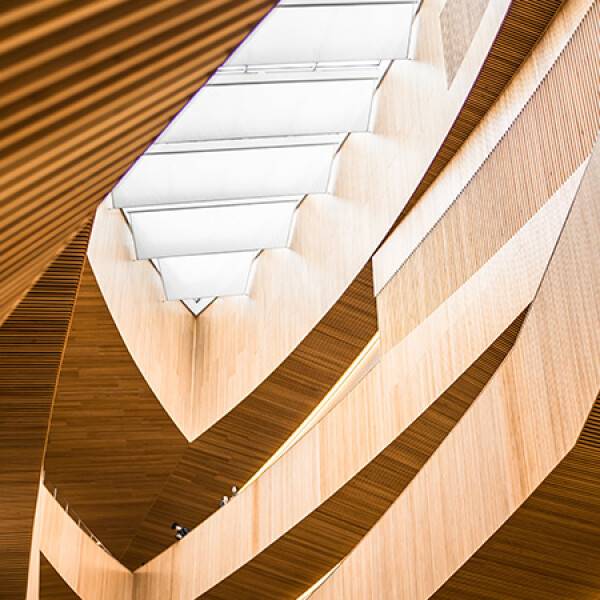 fabricant de fenêtre pour projet neuf osstaure bois.jpg