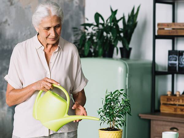 rénovation ehpad design actif portes fenetres.jpg