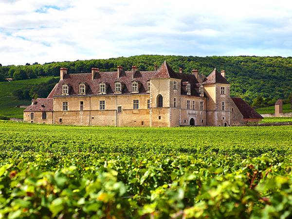 Rénovation des menuiseries de bâtiments historiques : entre tradition artisanale et technologies innovantes