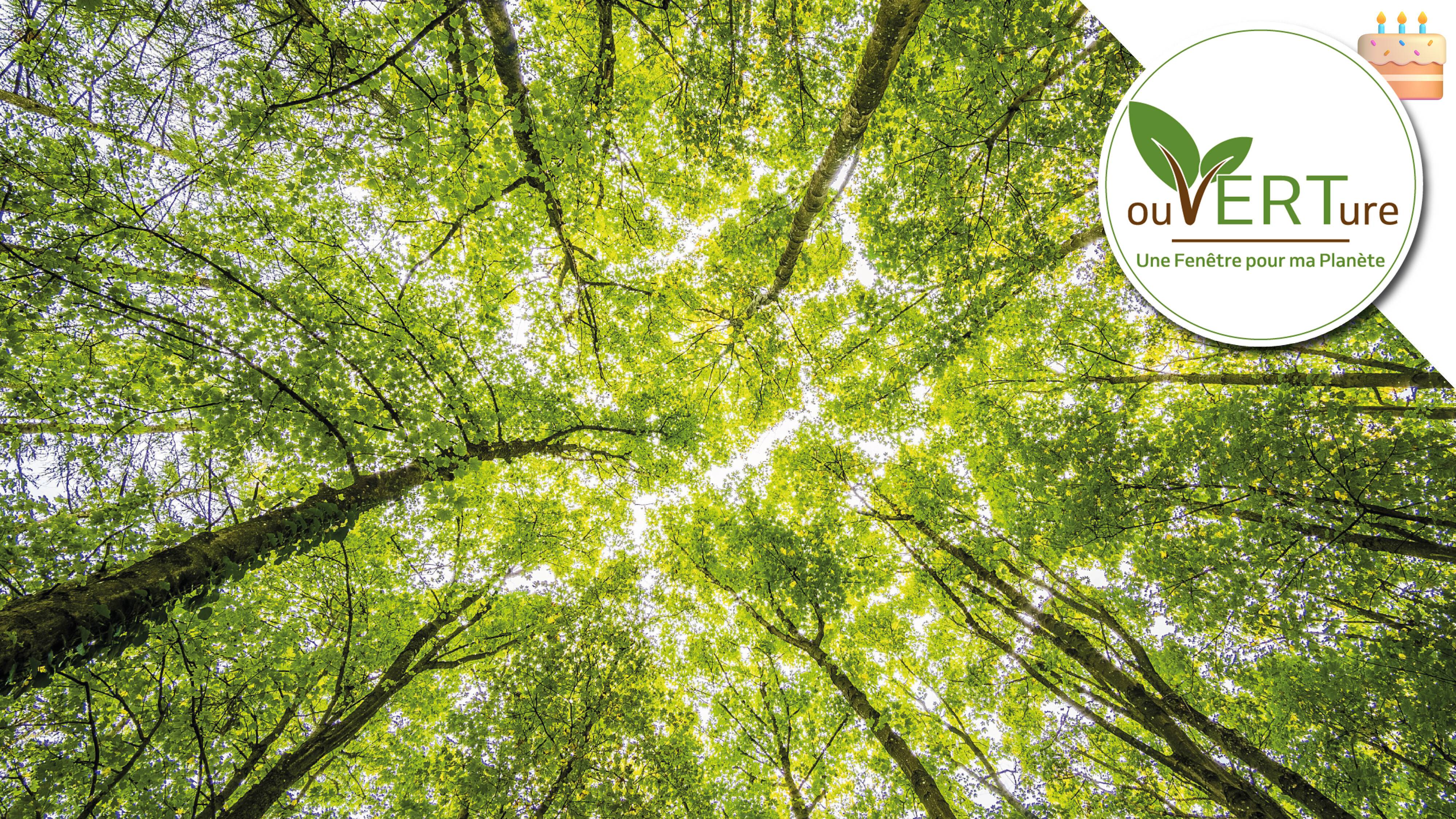 projet ouVerture décarbonation de l'industrie menuiseries Groupe Lorillard