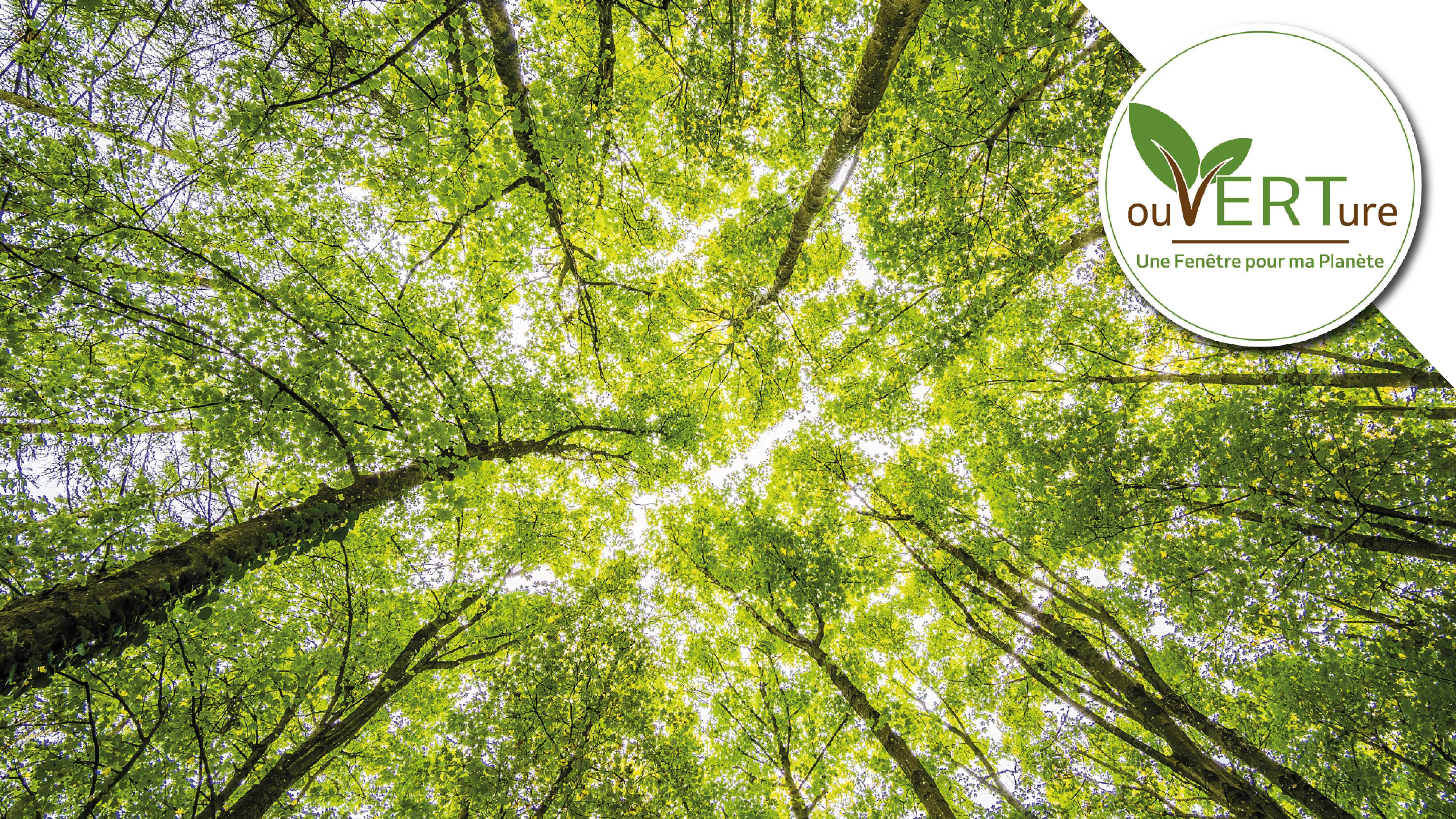 projet ouVerture décarbonation de l'industrie menuiseries Groupe Lorillard